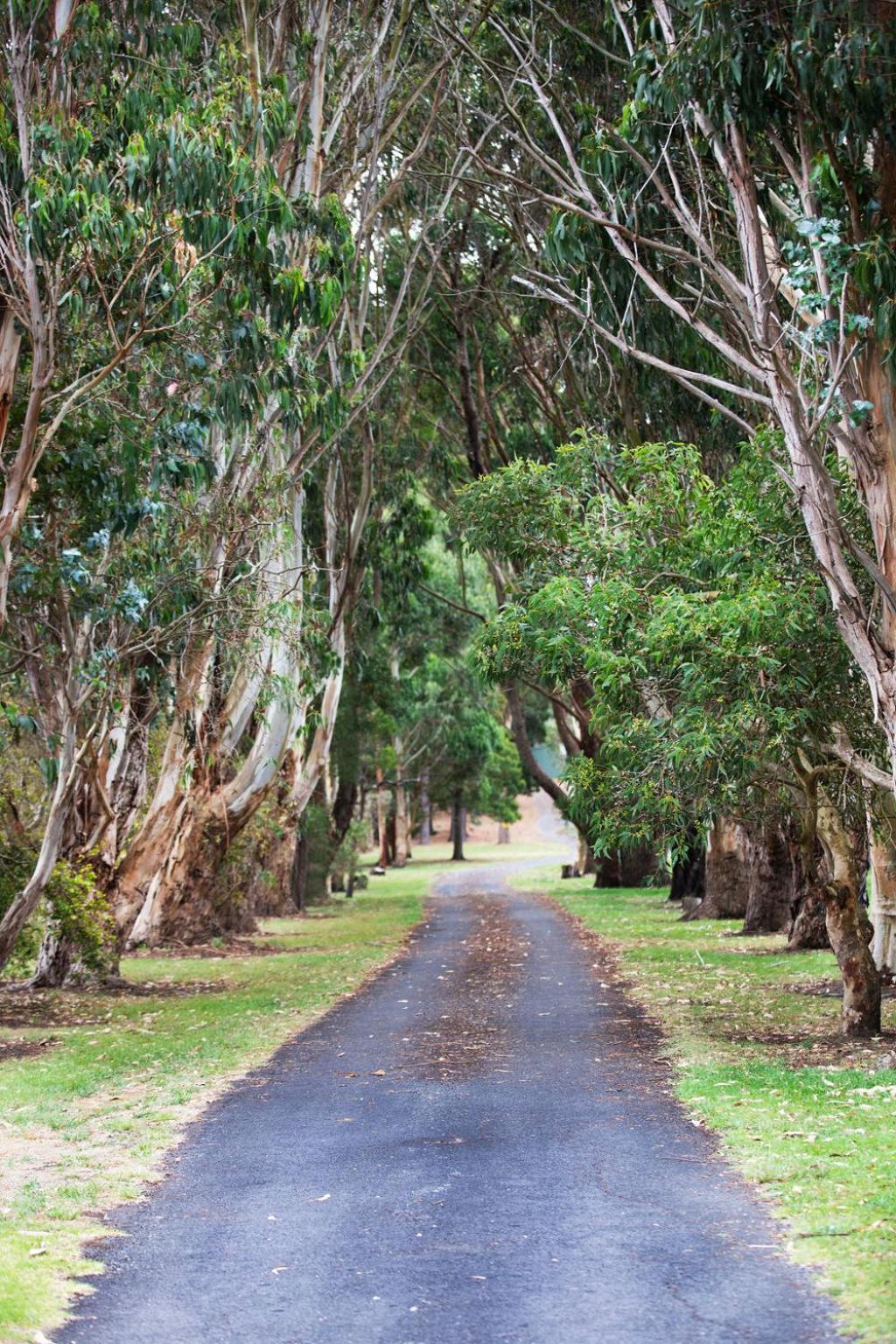 Clarendon Chalets Mount Gambier Luaran gambar